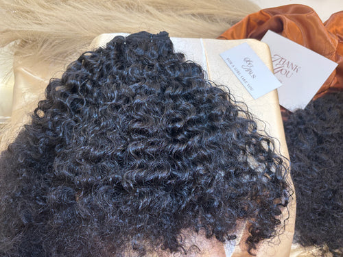 Burmese Curly