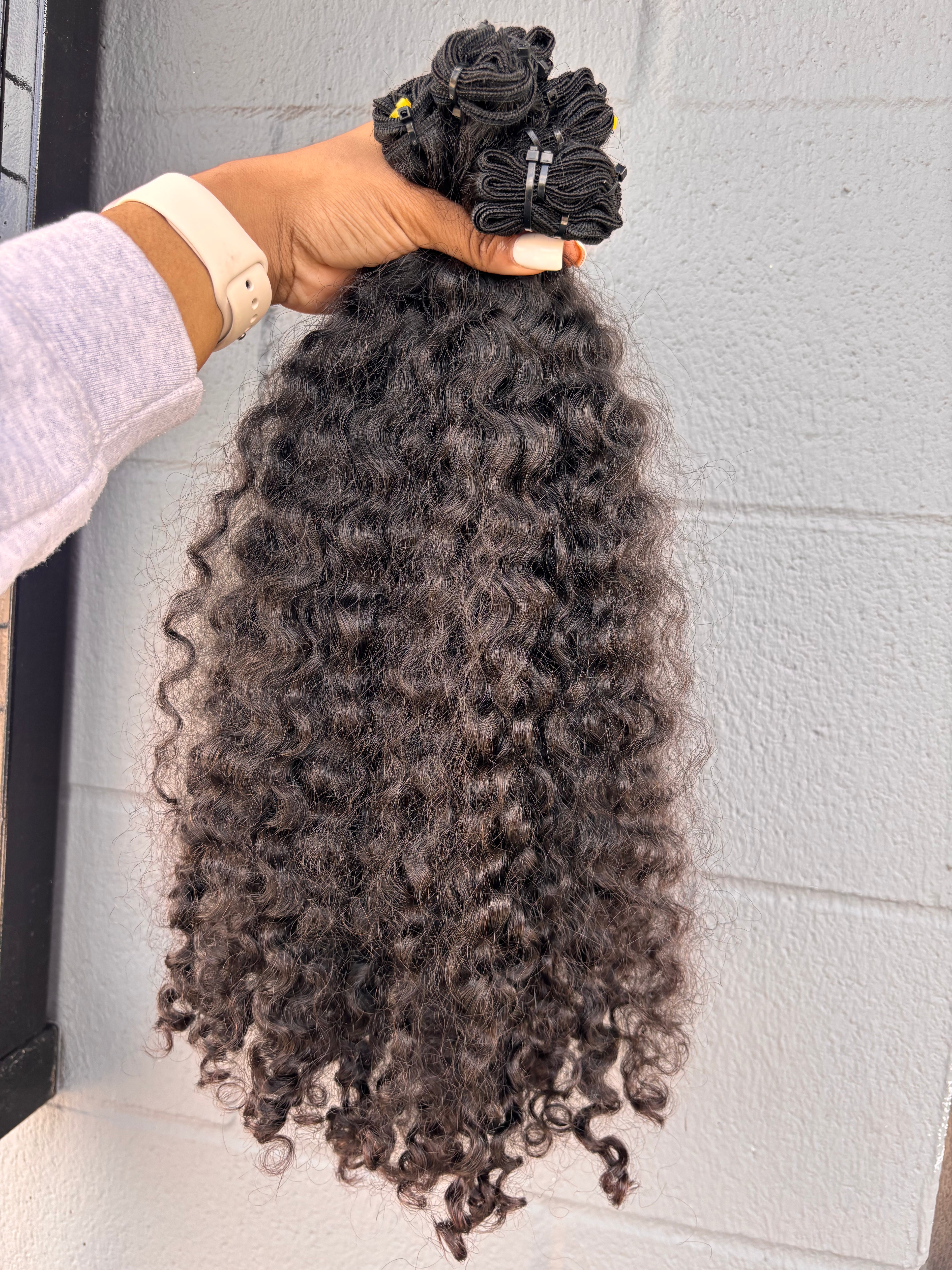 Burmese Curly