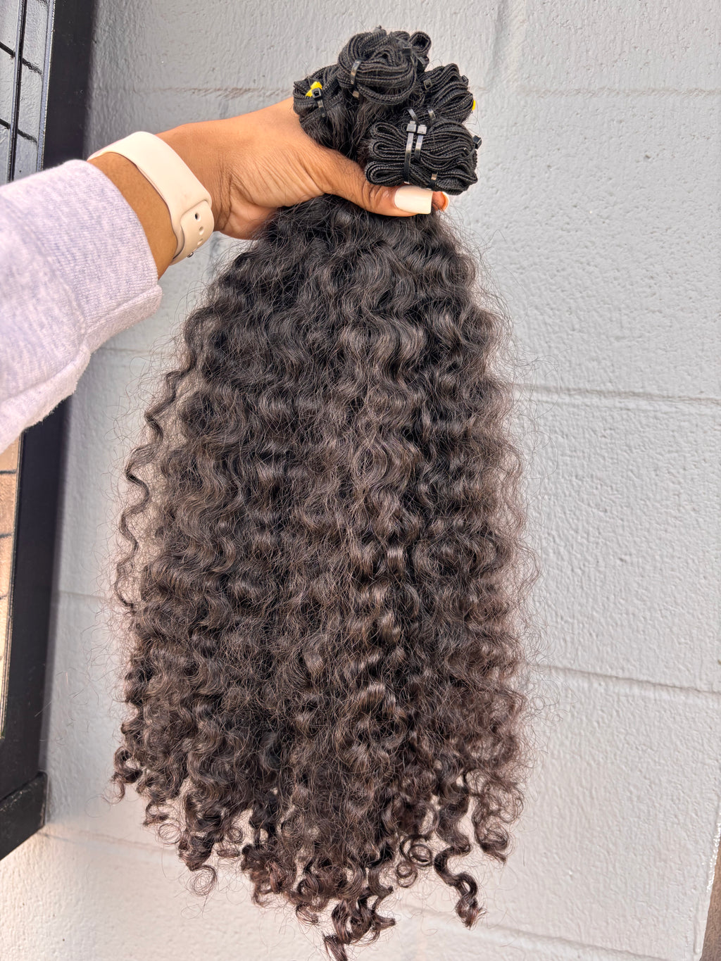 Burmese Curly