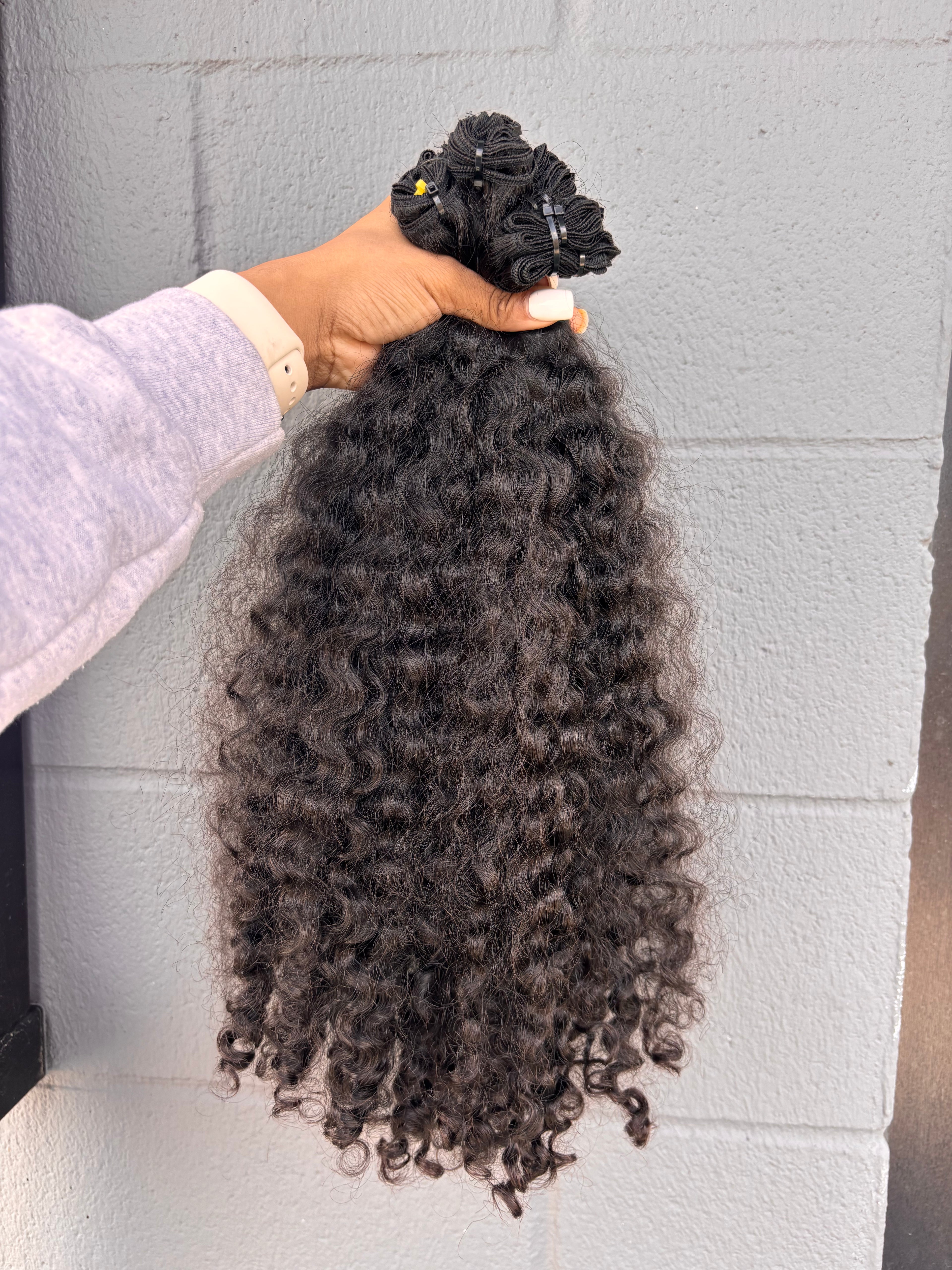 Burmese Curly