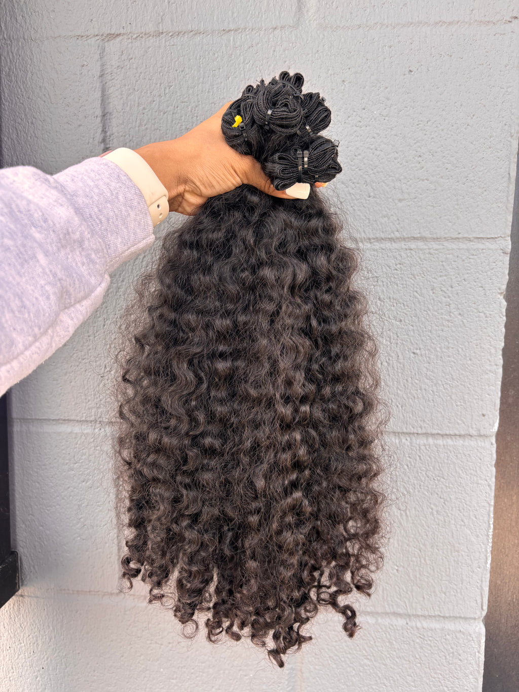 Burmese Curly