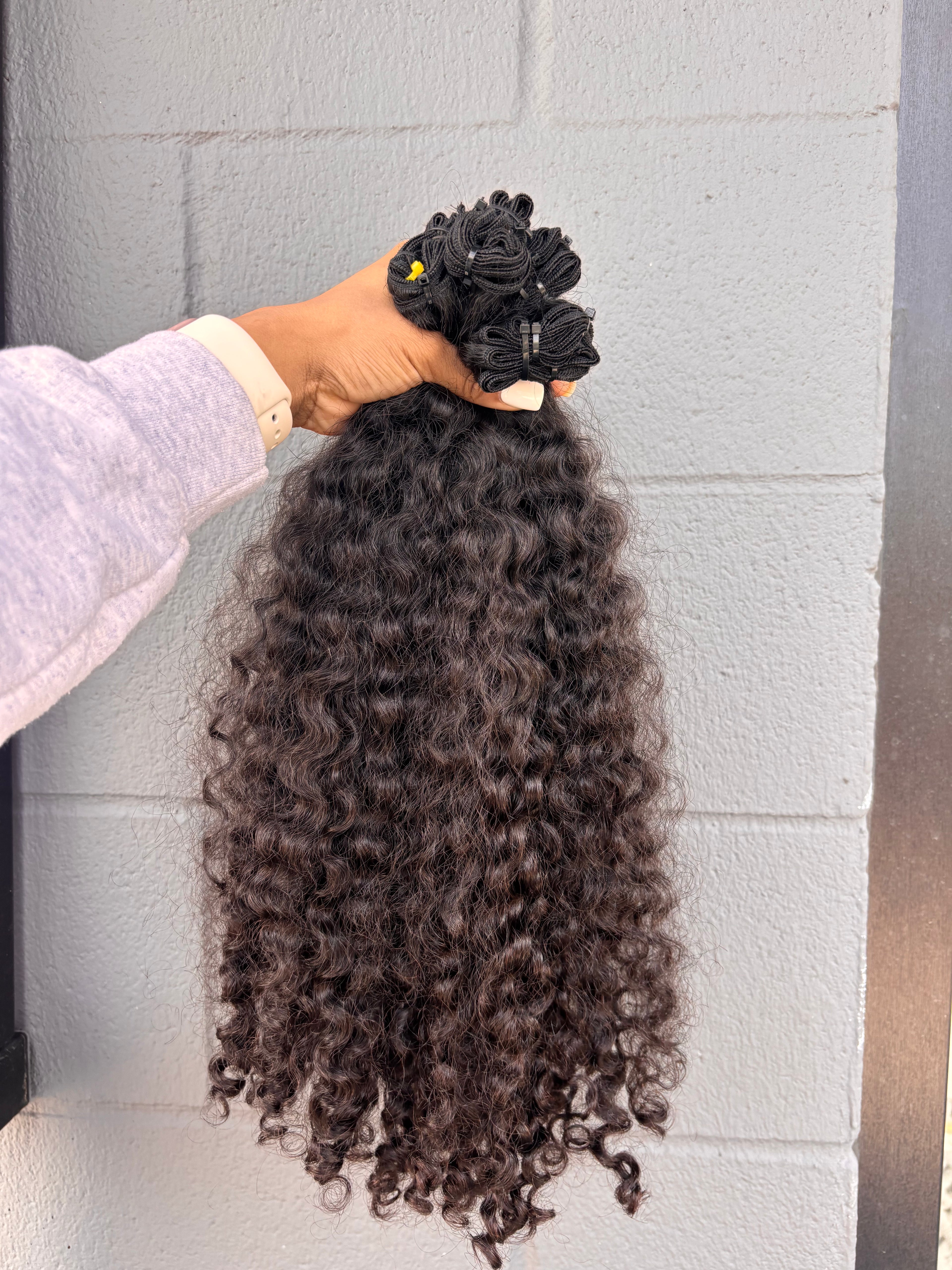 Burmese Curly