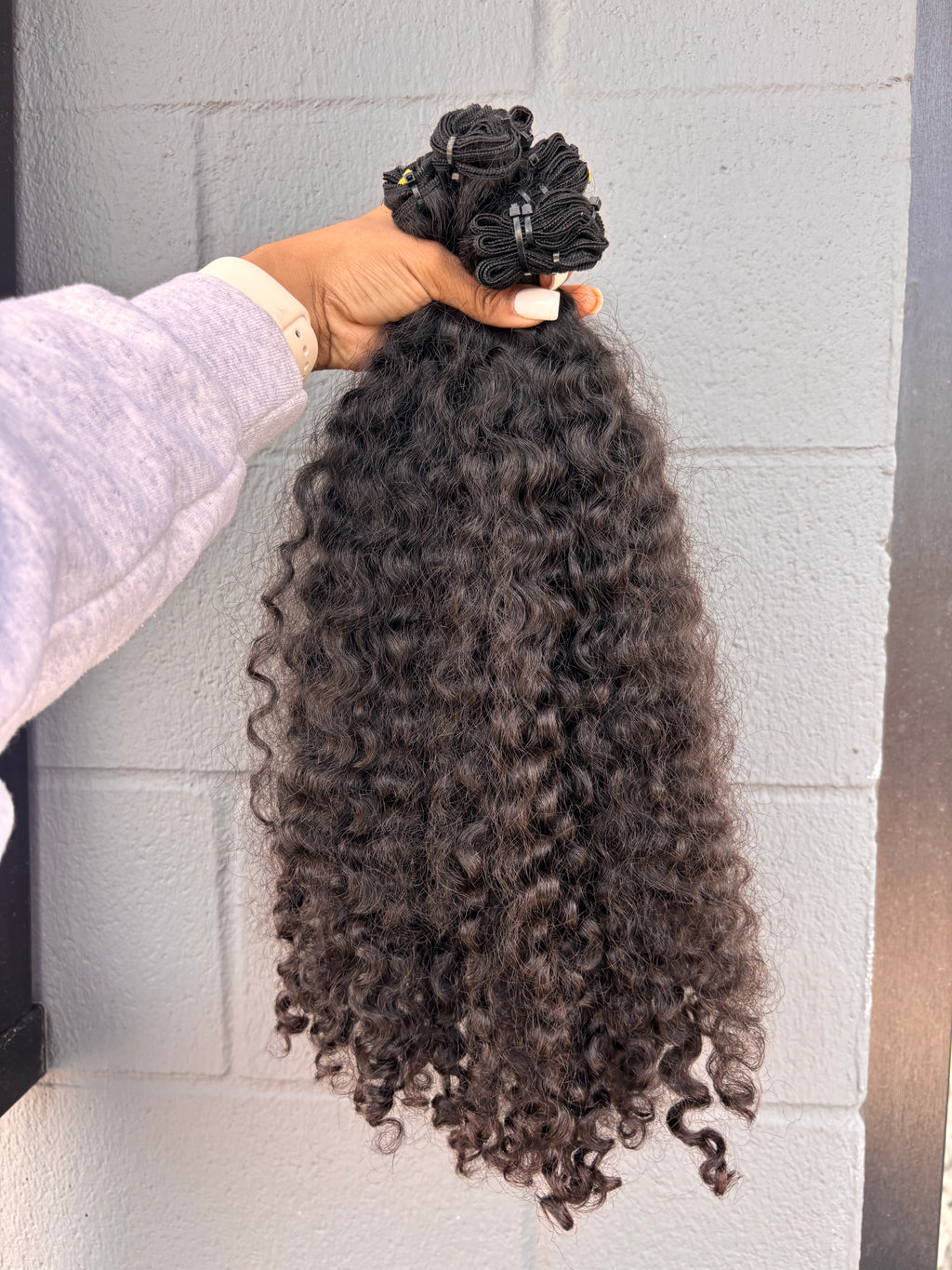 Burmese Curly