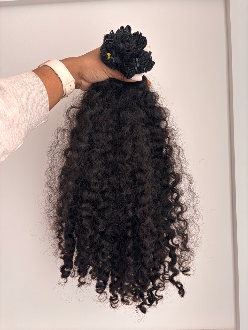 Burmese Curly