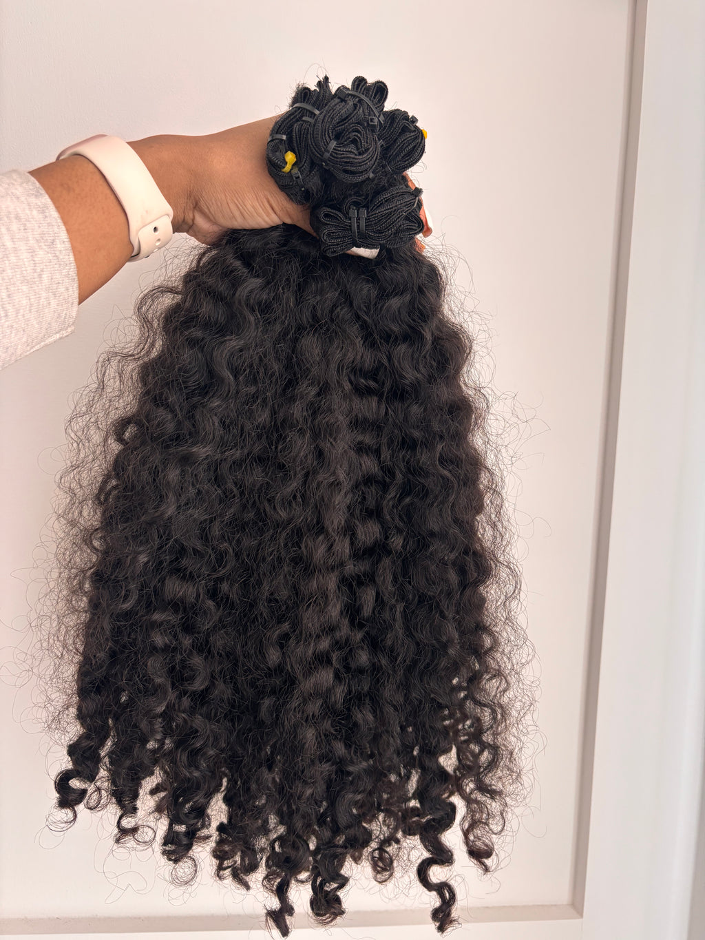 Burmese Curly