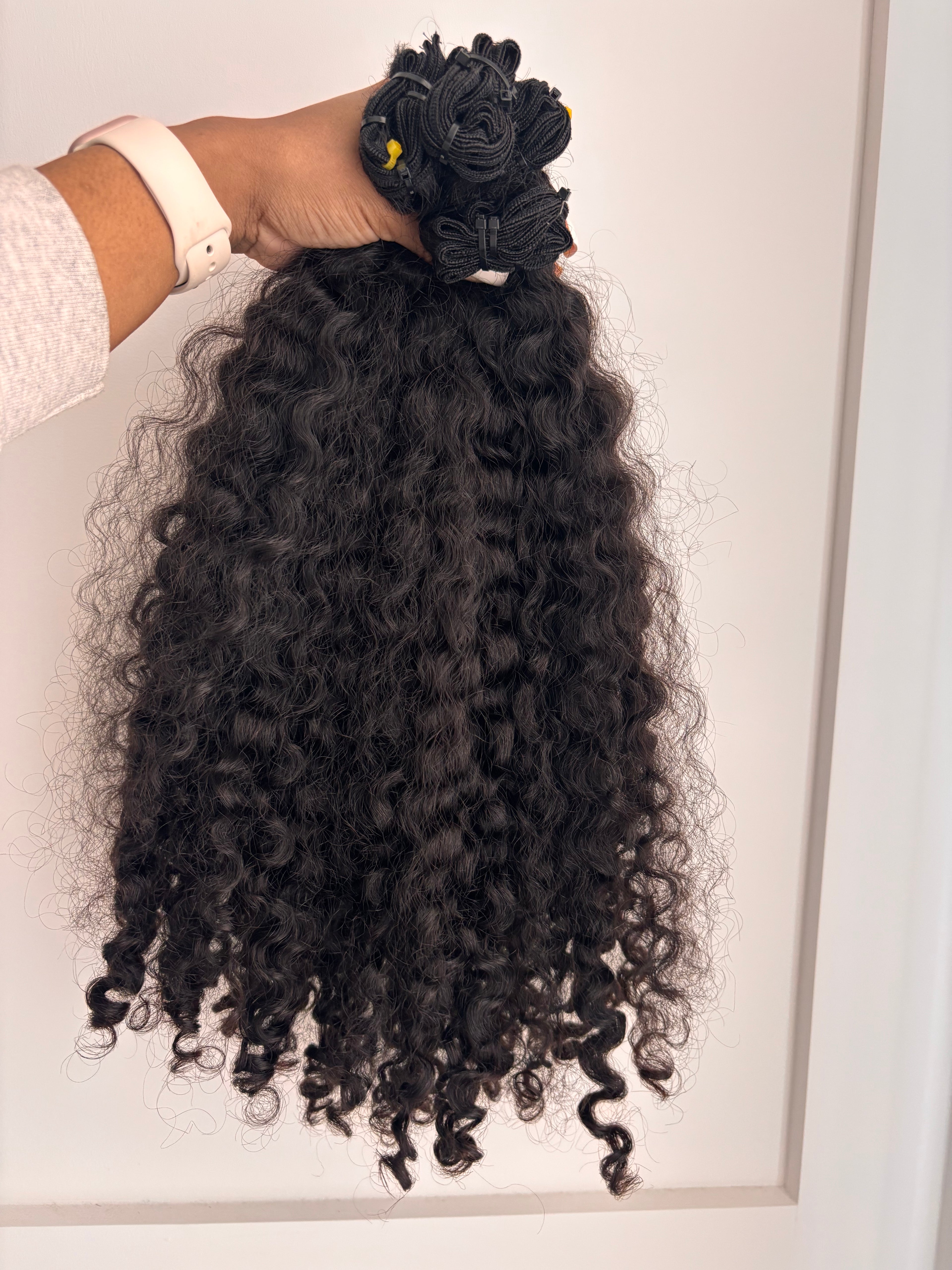 Burmese Curly