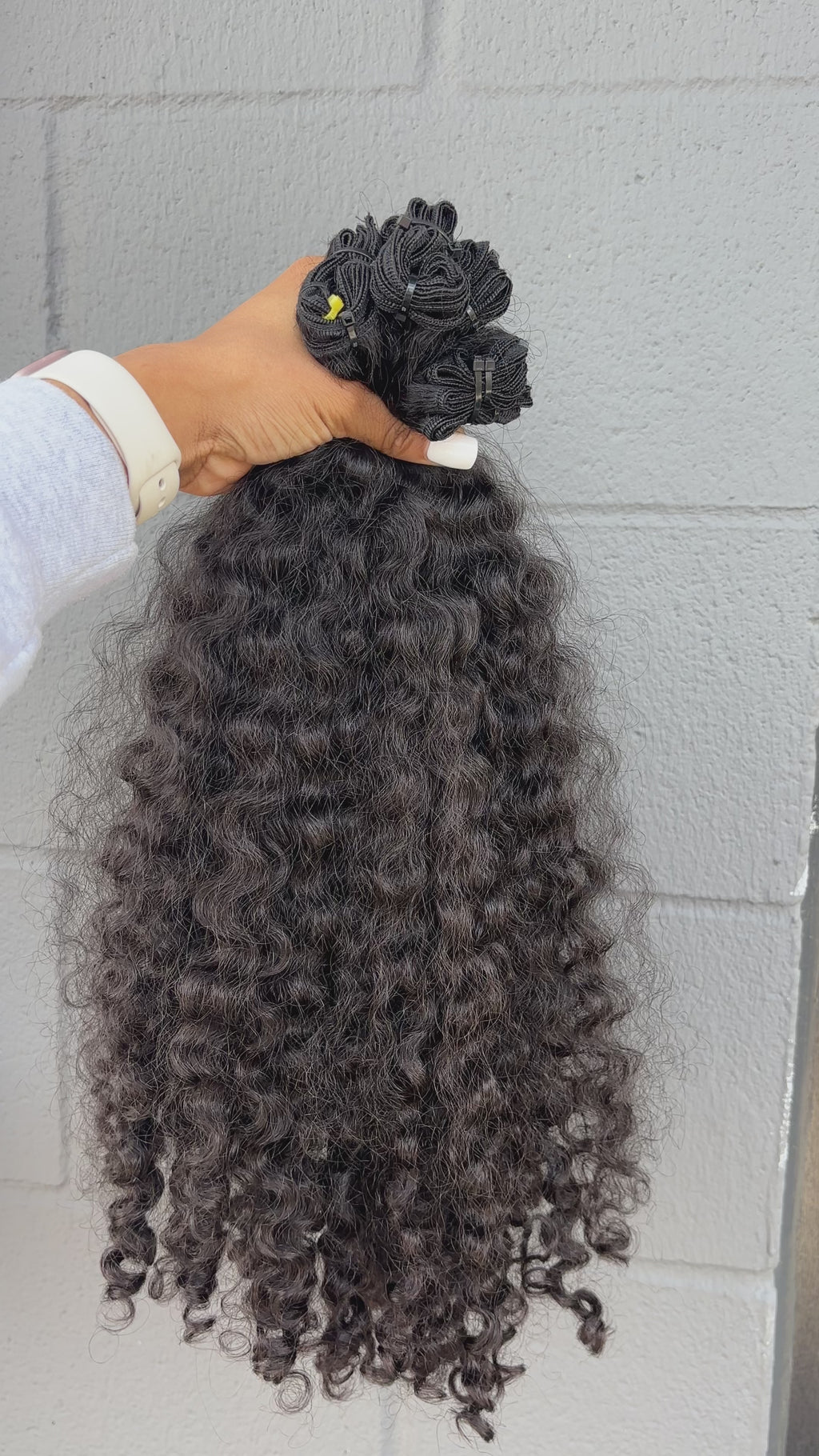 Burmese Curly